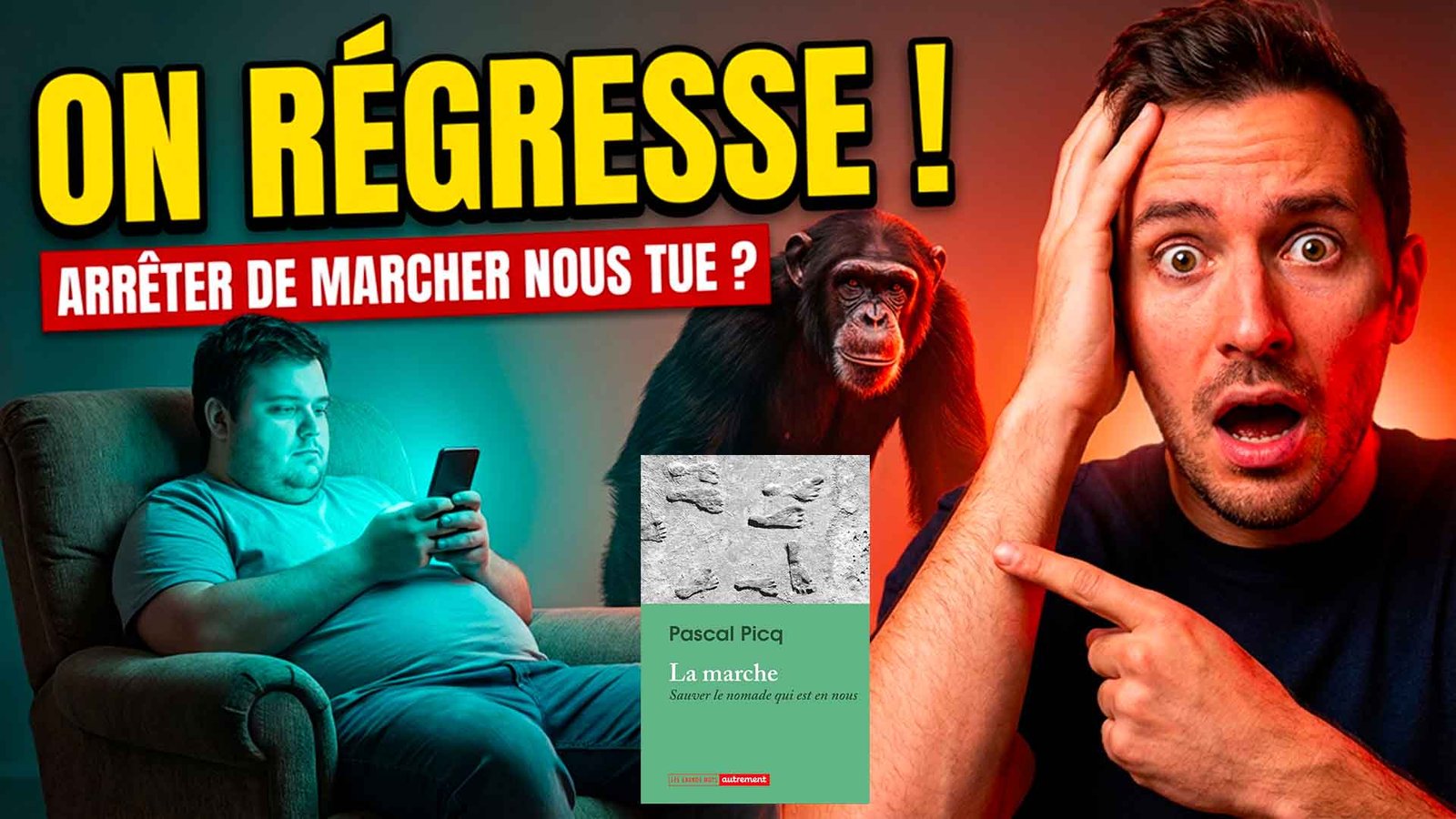 La marche. Sauver le nomade qui est en nous de Pascal Picq